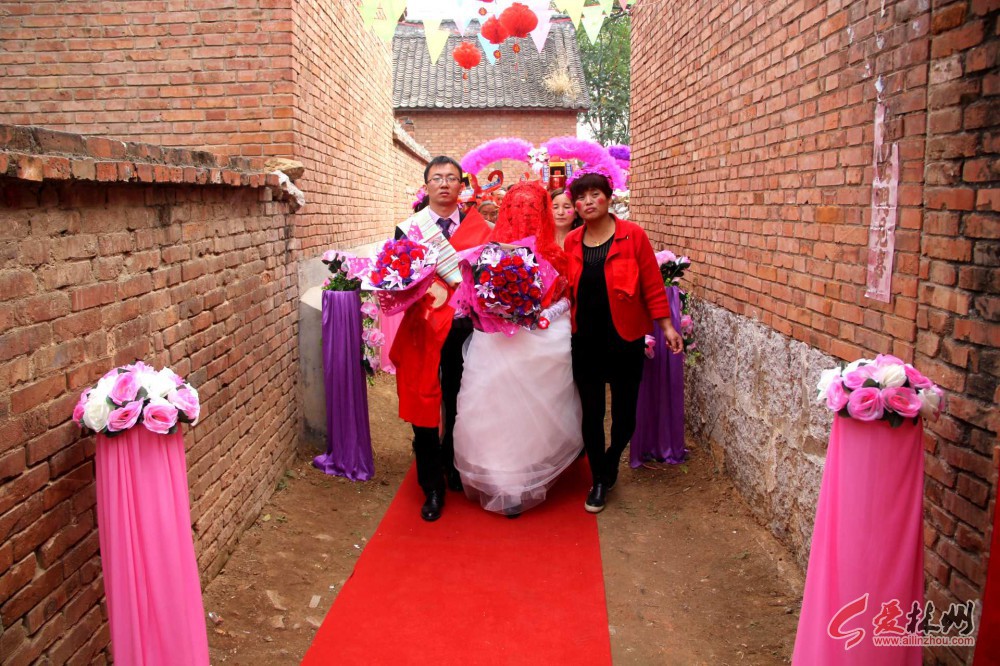 实拍林州农村婚礼:新郎"披红挂绿"