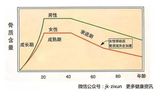 非常重要的作用,由于女性的特殊结构,使得女性流失钙的速度会比男性快