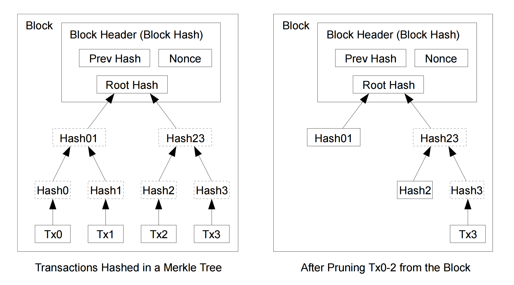 zcash 和zcoin: 相似性和不同处