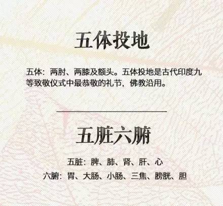 不什么胜数成语_成语故事图片