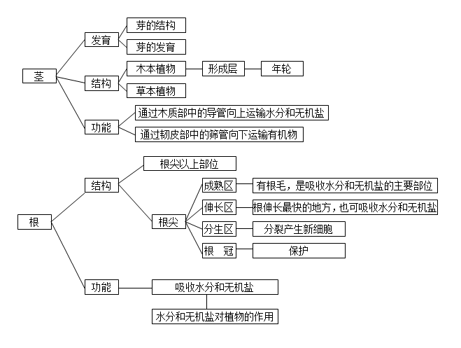 初中科学《生物部分》知识点梳理—思维导图,没有比这更清晰的了!