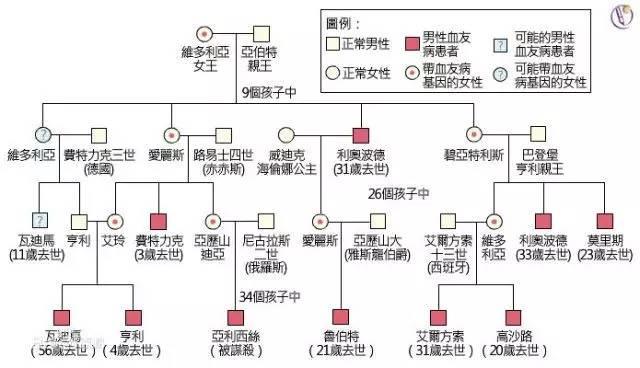 血友病是什么遗传病 血友病的遗传方式 血友病的遗传规律