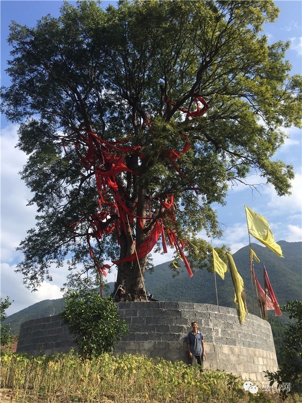 目前,培石正努力全面融入巫山经济圈.