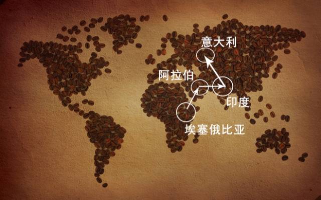 随着 海上贸易发展,滋养着世界各地的代沟组织和走私团伙,咖啡树的