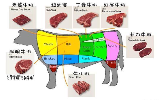 牛排是牛的哪个部位