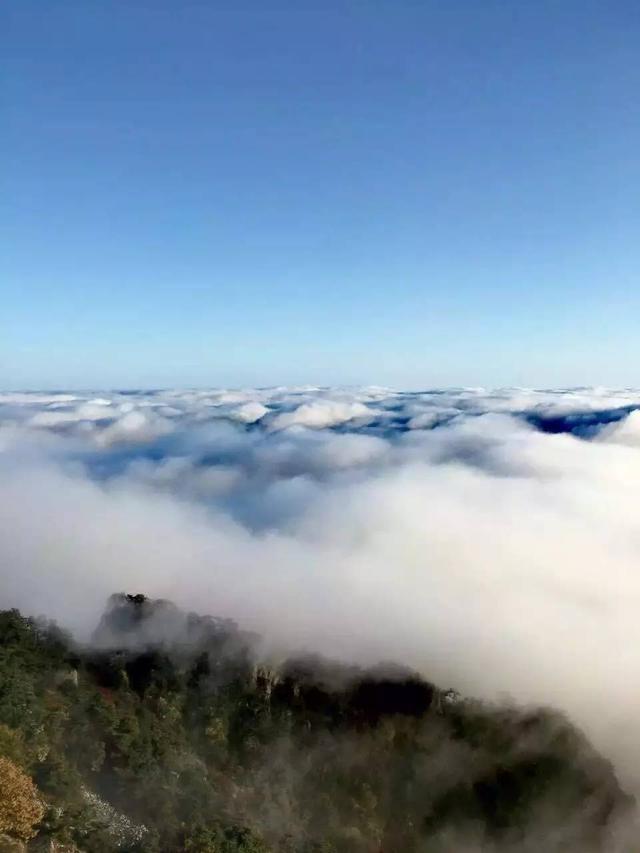 明月出天山,苍茫云海间.