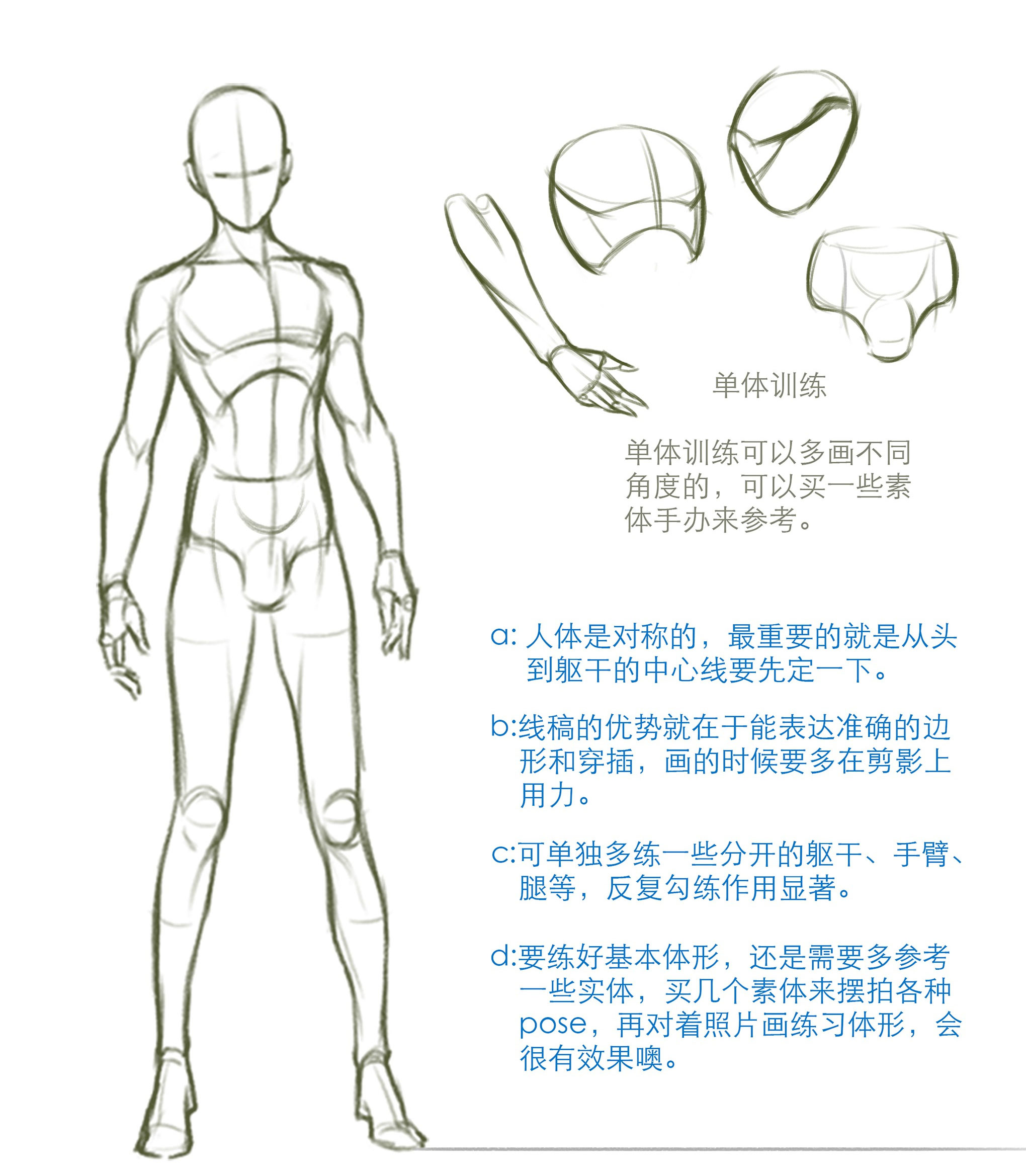 简易人体笔记|适合工作中一些人体模板绘制的你