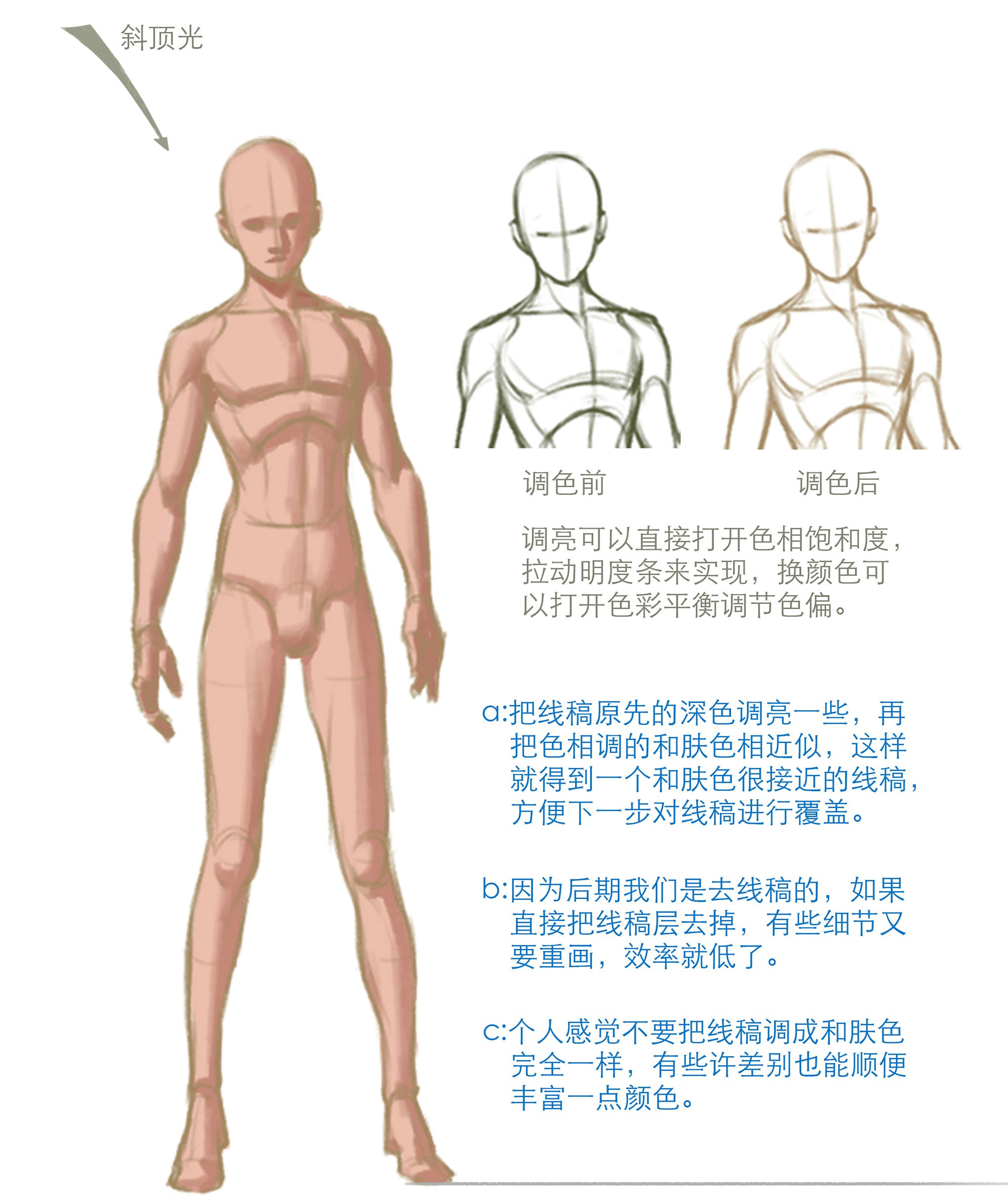 简易人体笔记|适合工作中一些人体模板绘制的你