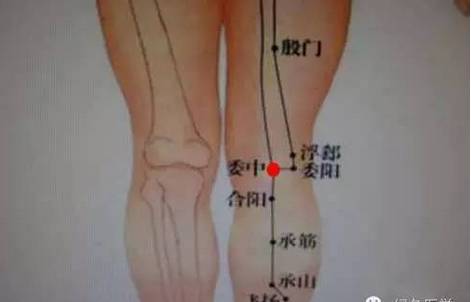 美食 正文  作用:刺激此二穴可以疏通下肢经络,改善小腿无力,疼痛等