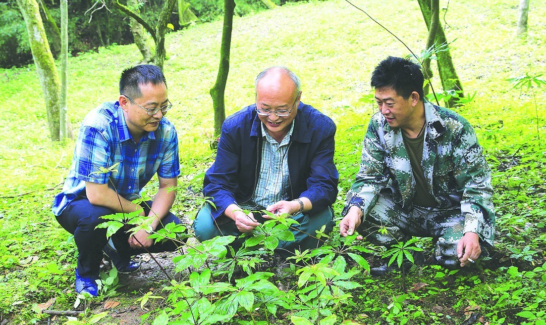 增加农民收入论文_农村金融类大学毕业论文,与湖南省农村金融对农民收入增长的影响...(2)