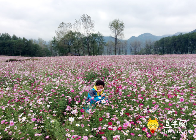 住瀚园农庄 07:30 起床,早餐 09:00 赴慈利琵琶洲观赏格桑花花海.