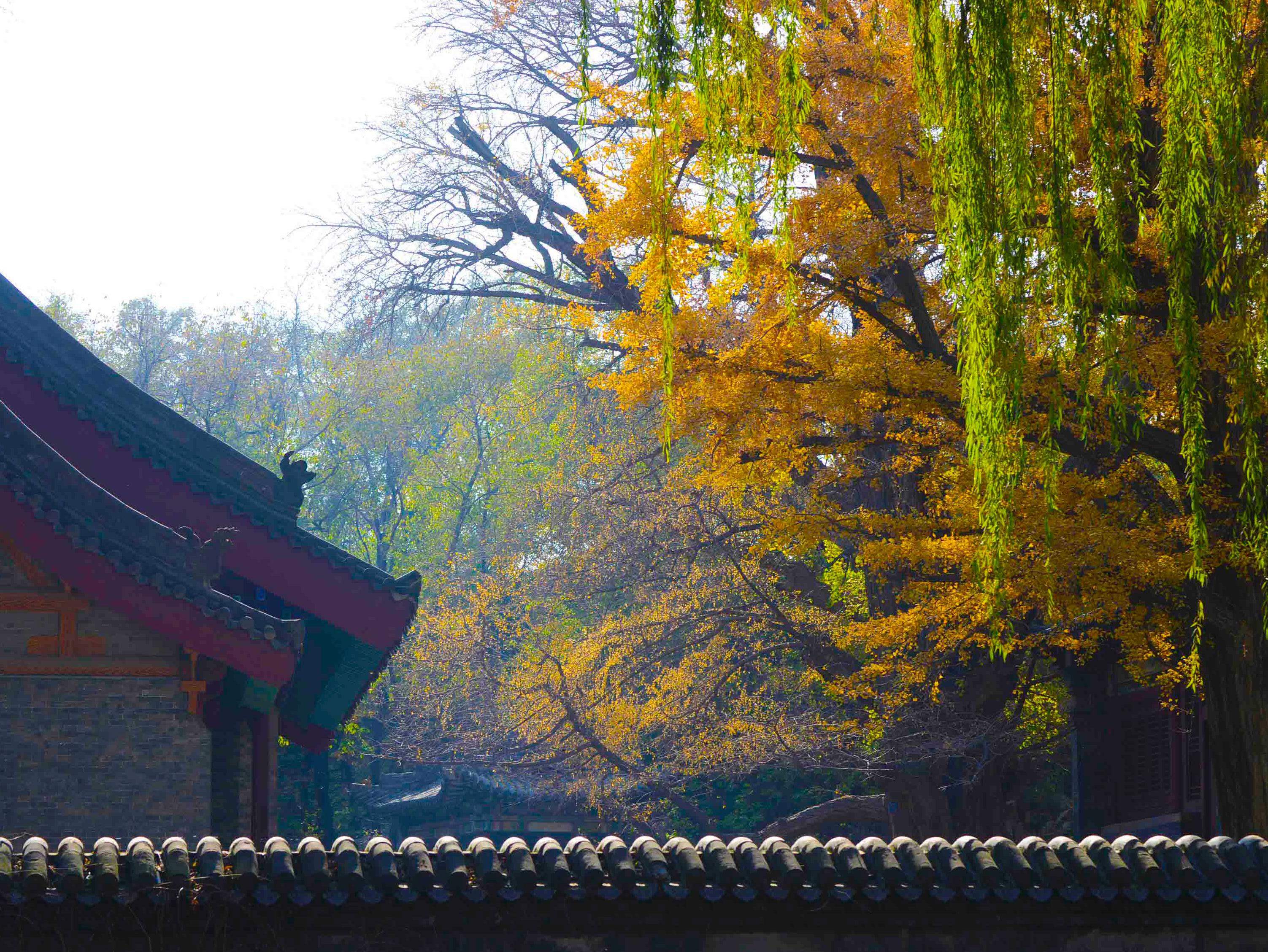 金秋晋祠，中国最早皇家园林处处有故事