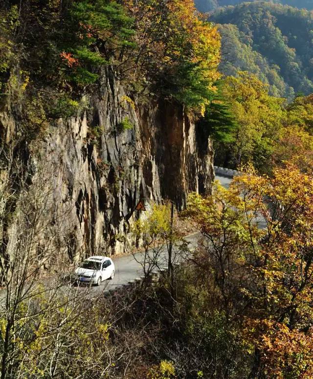 黄花岭s102