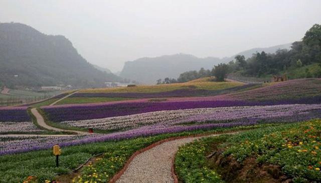 宣汉县有哪些镇人口多_宣汉县南坝镇图片(2)