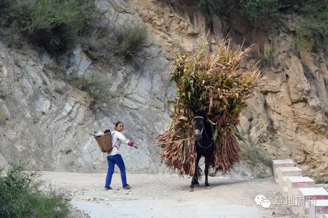 中国三次人口大迁徙_中国人口大迁移