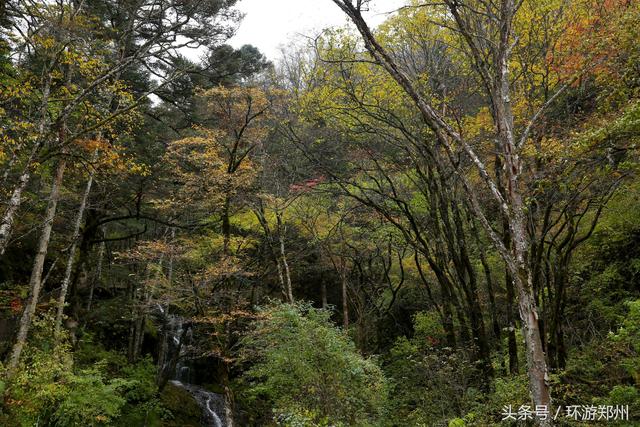 探秘神农架原始森林,发现金猴溪亘古之美景!