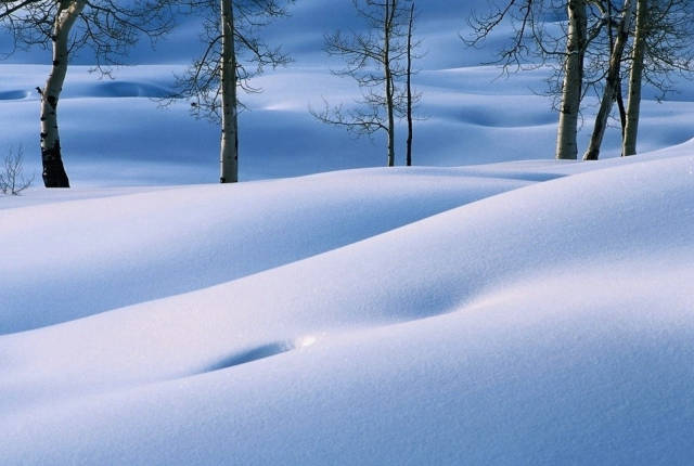 【行摄部落】冬天来了,你想拍出最美的雪景图片吗?