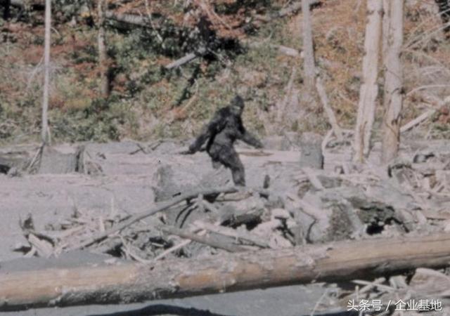 大脚野人bigfoot,大脚怪踪迹都以文字的形式在世界各地的几大洲都有过