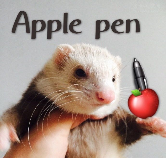 4,apple pen