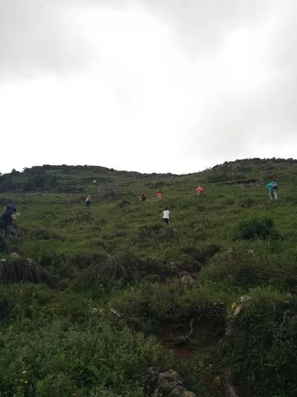 旅游 正文 早08:30在昆明国贸中心沃尔玛门口集合,约10:30抵达梁王山