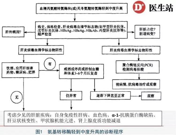 肝功能gdp_复查过肝功能的进来看一下 国内航空 kongjie.com