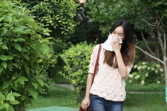 过敏是会呼吸的痛 秋季过敏怎么办?