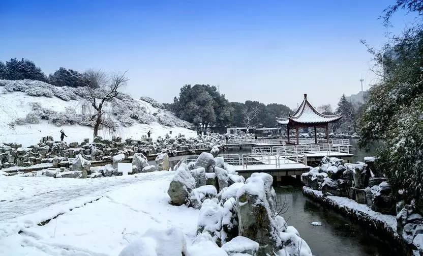 下雪了!2016河南第一场雪来了!隔着屏幕都能感