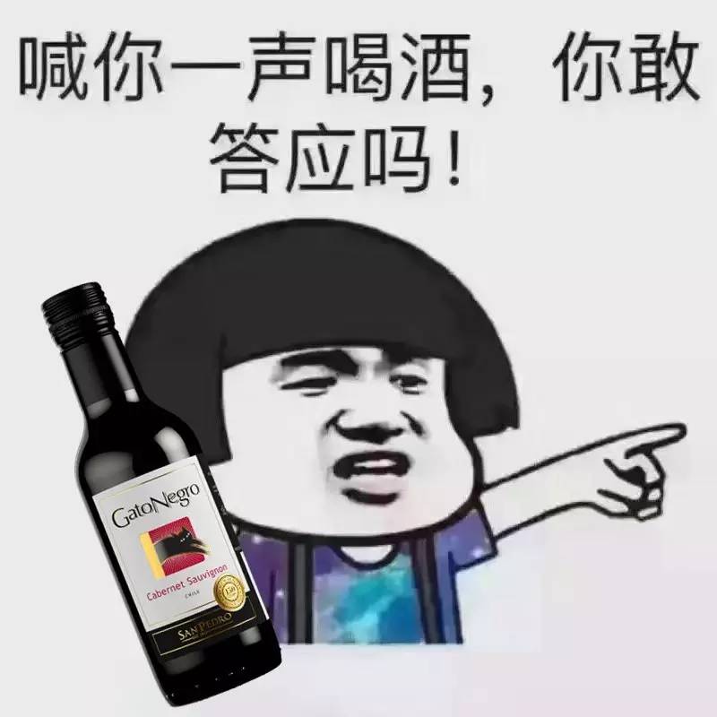 【猫酒生活】在深圳,周五下班后应该去干吗?
