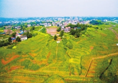 广安前锋区:乡风文明润沃土