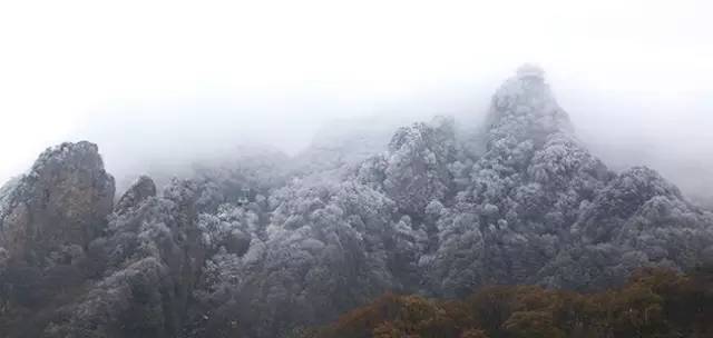 下雪了!2016河南第一场雪来了!隔着屏幕都能感