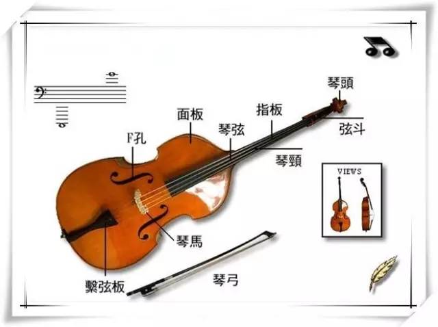 其它 正文  先来欣赏一段 徐理演出片段 page 低音提琴| double bass