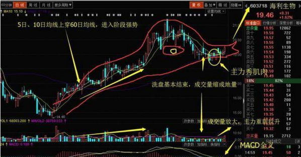 参考案例:海利生物