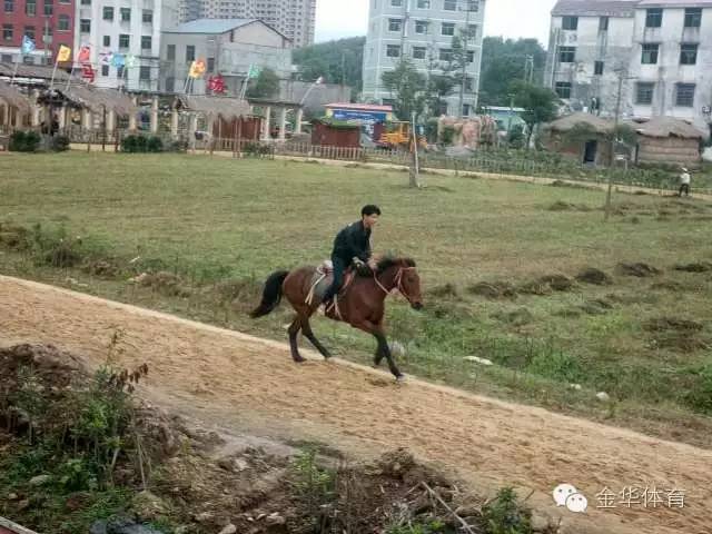 体育 正文             跑马场 → 挖掘机体验区