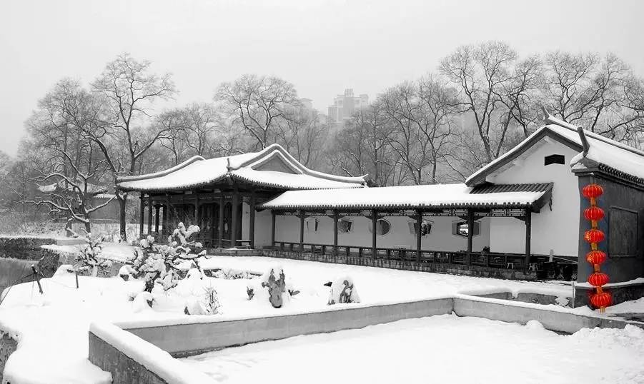 下雪了!2016河南第一场雪来了!隔着屏幕都能感