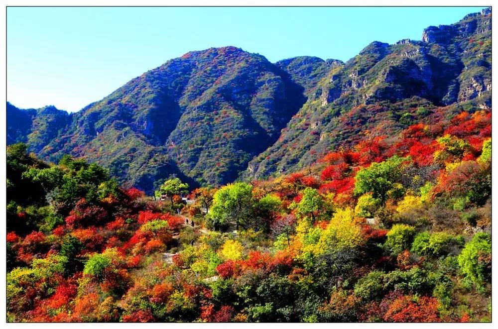 整个白银坨风景区的地下,是一个富含金银矿藏的宝库.