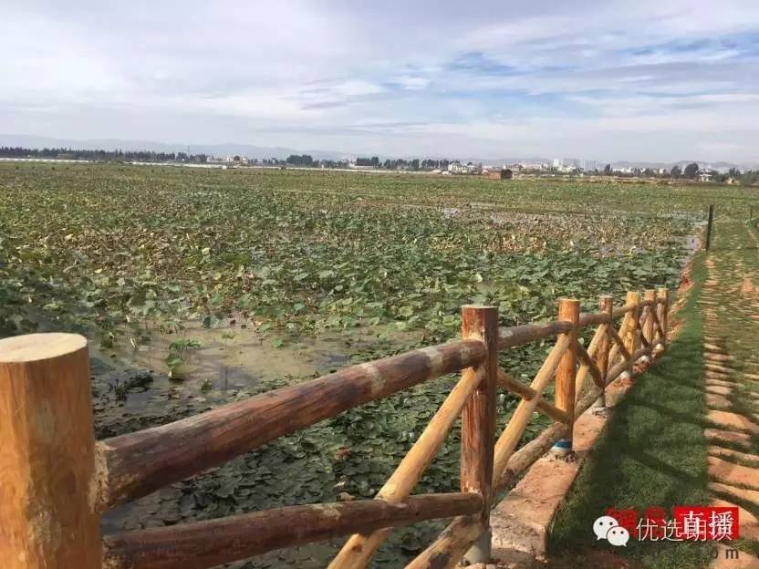 麒麟水乡水上飞机水上跑道,景色优美到不像话