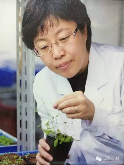 关注|植物生物学女科学家校园行--北京林业大学