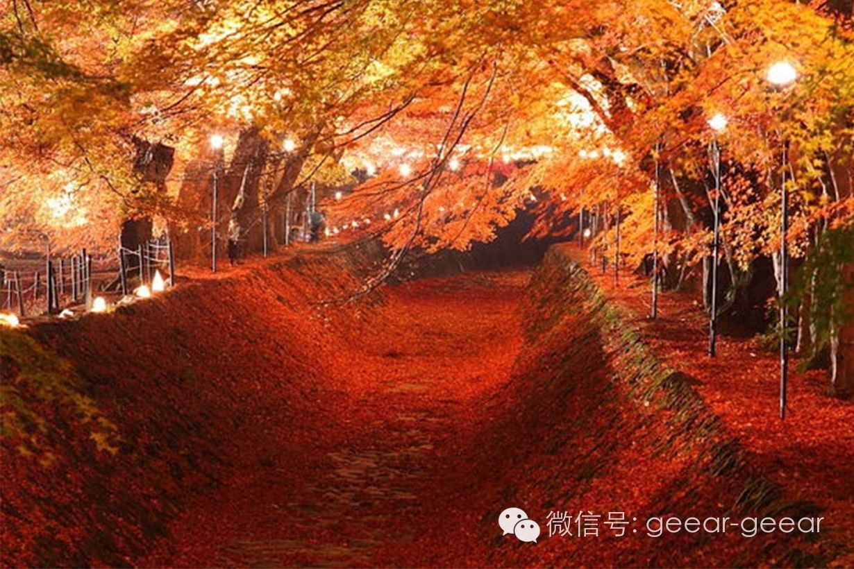 G?活? 去日本红叶祭,不要错过红叶配富士山的