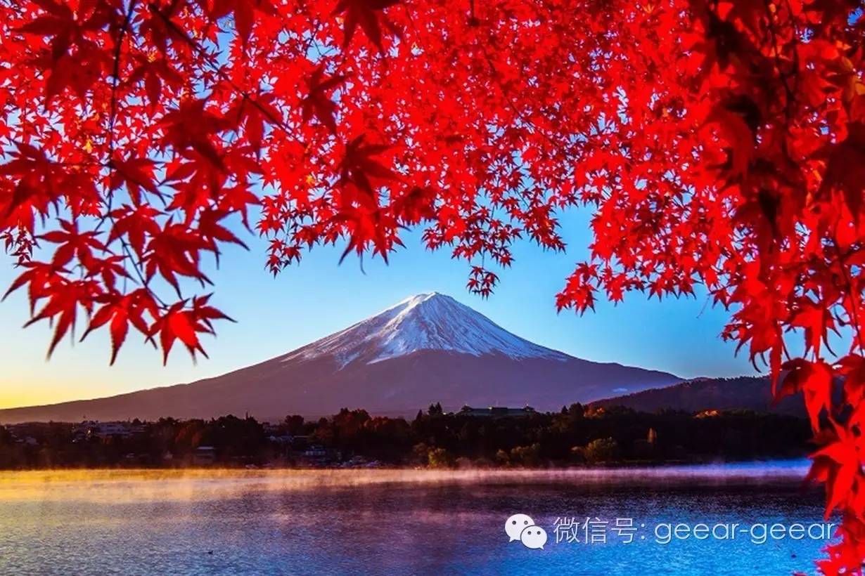 京都体验“红叶狩” 远眺古寺燃焰 近观碧池染红