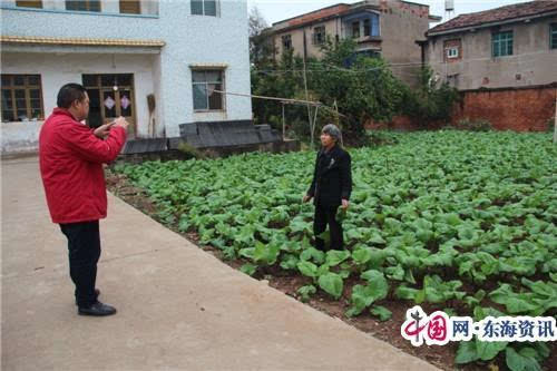 当阳市两河镇接受市产业扶贫验收