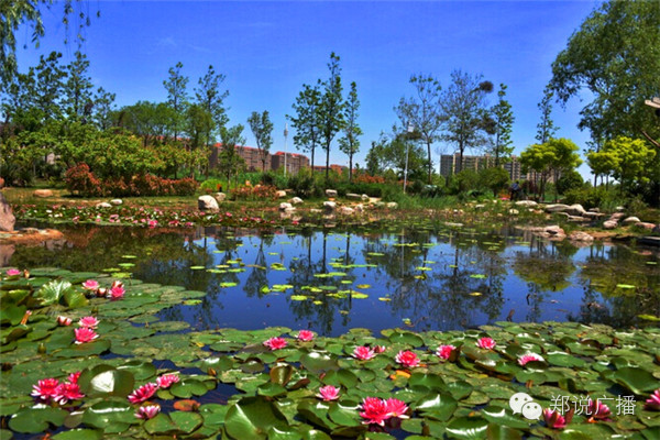 中原福塔倒映在风景旖旎的十八里河