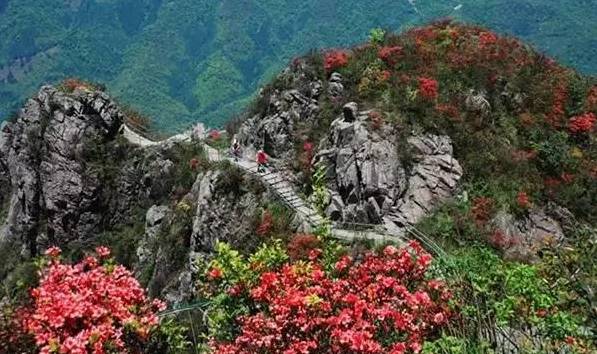 金子山是连山县生态旅游开发的重点项目,该景区有不可多得的鲜明特色