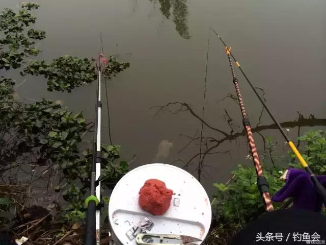 钓鱼的时候在想什么?孤独吗?