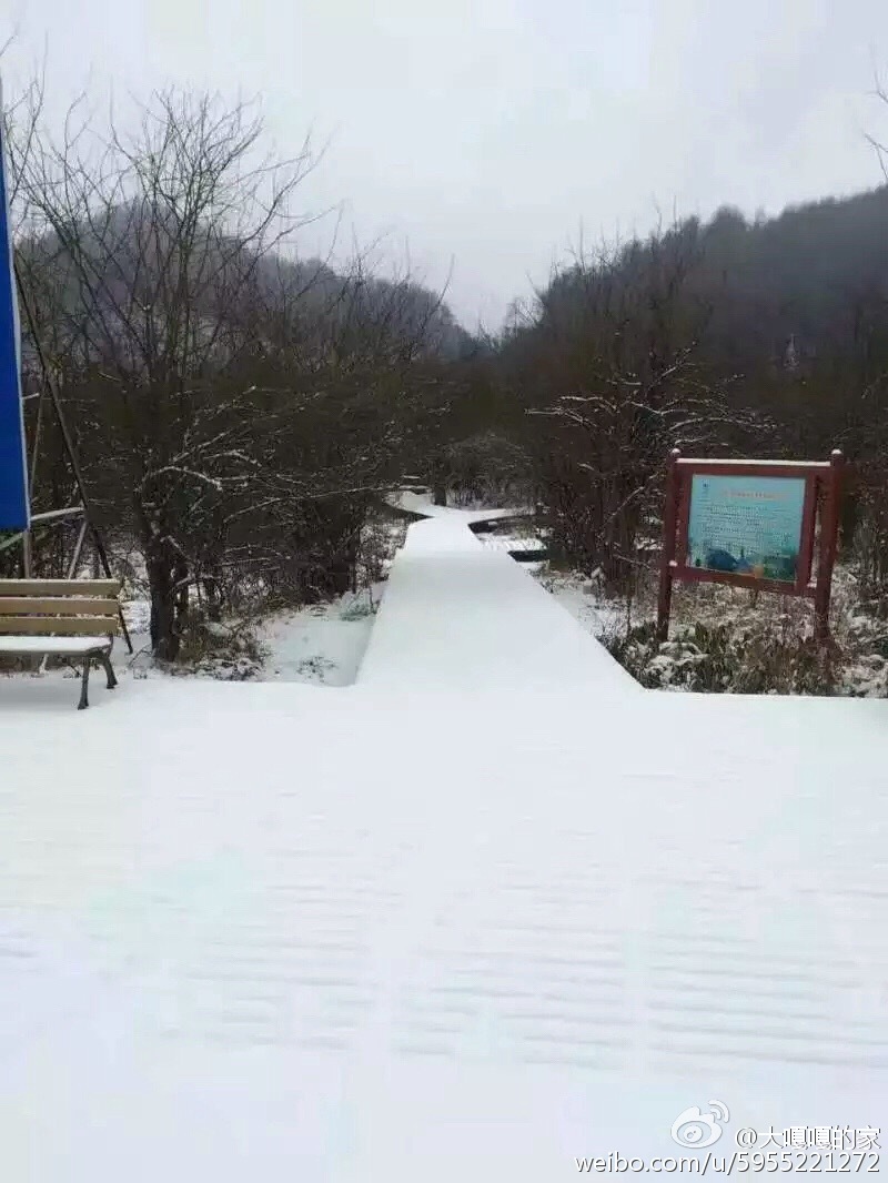 牛x 重庆这些区县竟然下大雪了 今年主城有望再降雪!