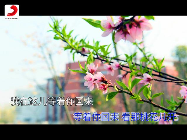 桃花朵朵花曲谱_桃花朵朵开曲谱