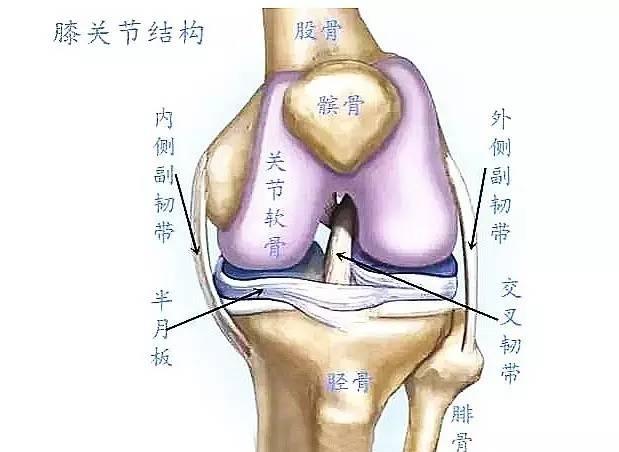 正在悄悄加速你的膝关节退化的动作,很多人天天做!