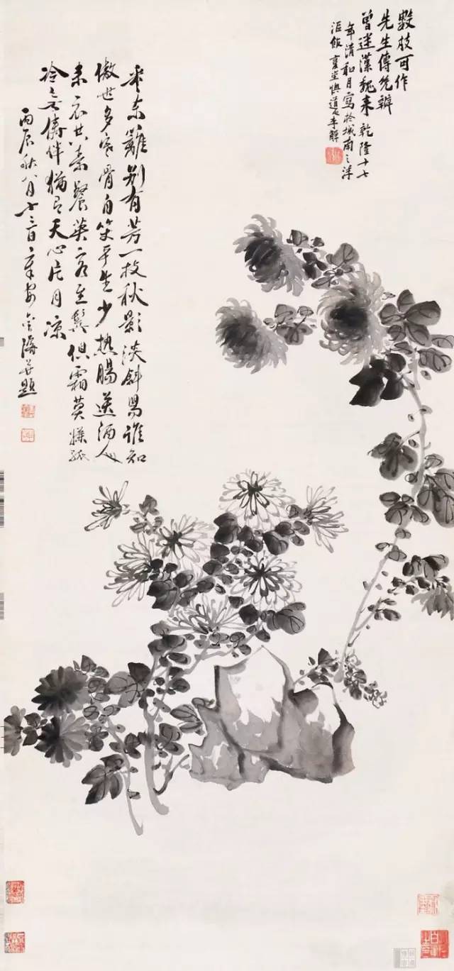 金秋赏菊历代名家菊花作品大全