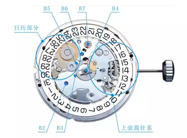 手表在拨针时应灵活,可靠和指针转动均匀.