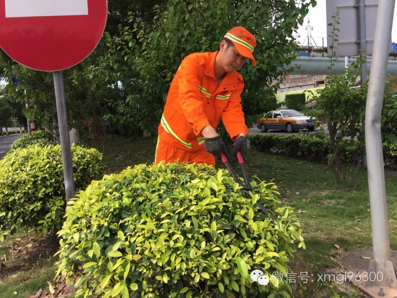 【鹭城路事】厦门市2016年度 "优秀环卫职工",为什么