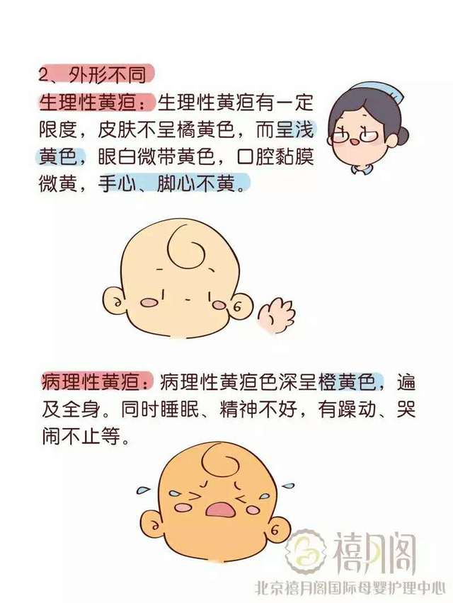 禧月阁自制 | 新生儿黄疸,爸爸妈妈知多少